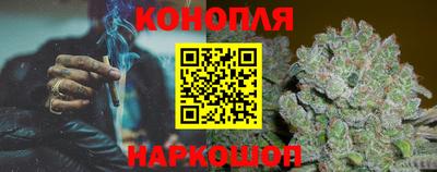 прущие грибы Анапа