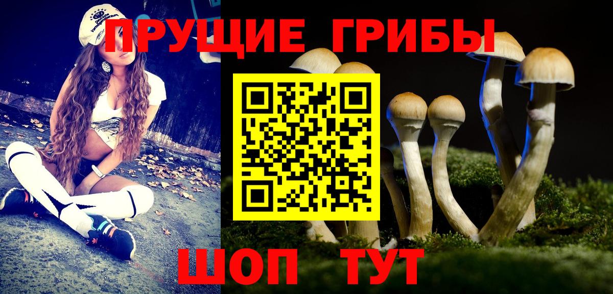 Галлюциногенные грибы MAGIC MUSHROOMS Артёмовский